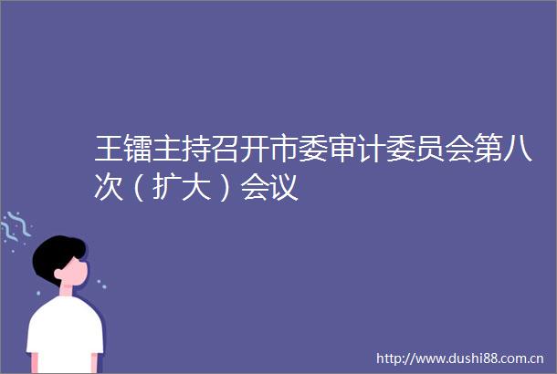 王镭主持召开市委审计委员会第八次（扩大）会议