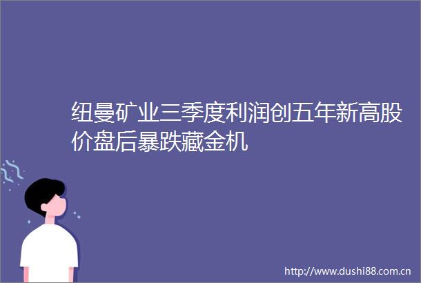 纽曼矿业三季度利润创五年新高股价盘后暴跌藏金机