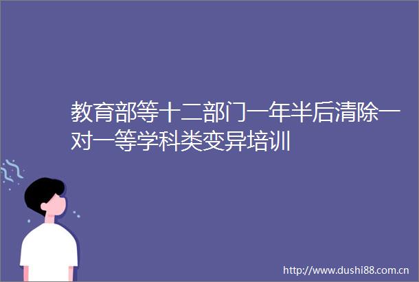教育部等十二部门一年半后清除一对一等学科类变异培训