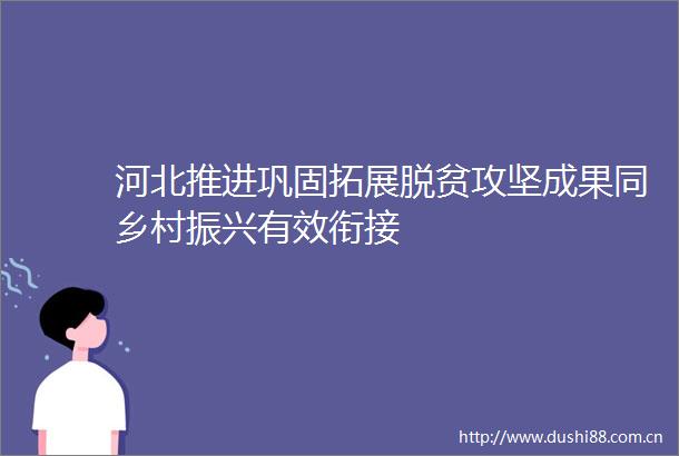 河北推进巩固拓展脱贫攻坚成果同乡村振兴有效衔接