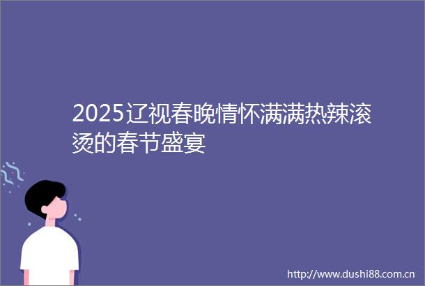 2025辽视春晚情怀满满热辣滚烫的春节盛宴