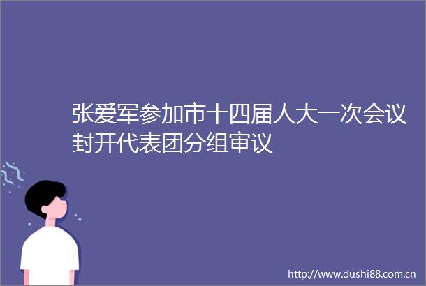 张爱军参加市十四届人大一次会议封开代表团分组审议