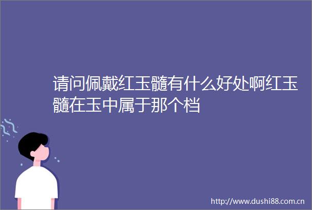 请问佩戴红玉髓有什么好处啊红玉髓在玉中属于那个档