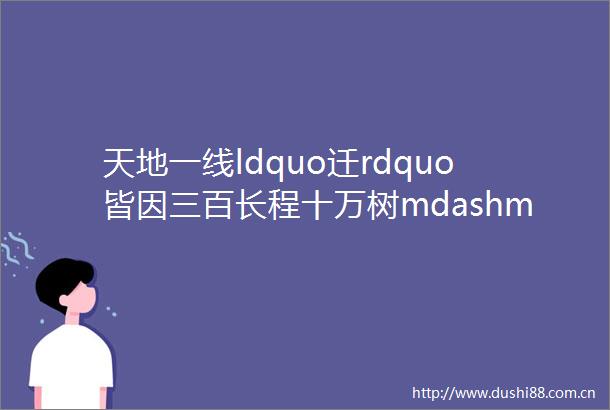 天地一线ldquo迁rdquo皆因三百长程十万树mdashmdash广元电力主动避让保护古柏筑牢ldquo电力生态rdquo防线