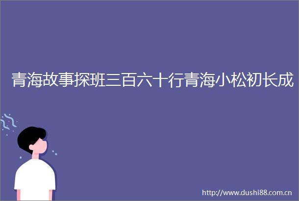 青海故事探班三百六十行青海小松初长成