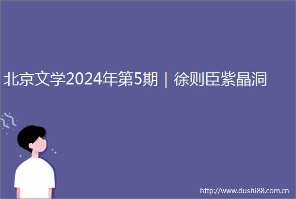 北京文学2024年第5期｜徐则臣紫晶洞