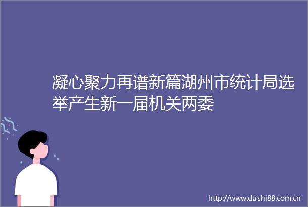 凝心聚力再谱新篇湖州市统计局选举产生新一届机关两委