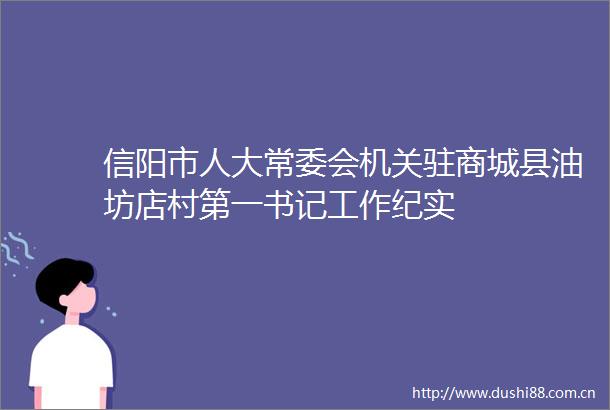 信阳市人大常委会机关驻商城县油坊店村第一书记工作纪实
