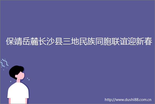 保靖岳麓长沙县三地民族同胞联谊迎新春