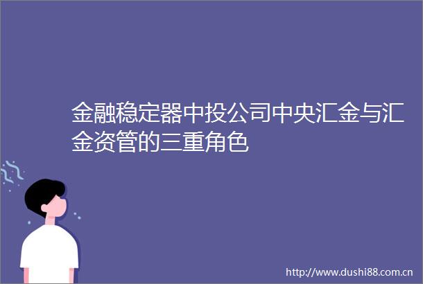 金融稳定器中投公司中央汇金与汇金资管的三重角色