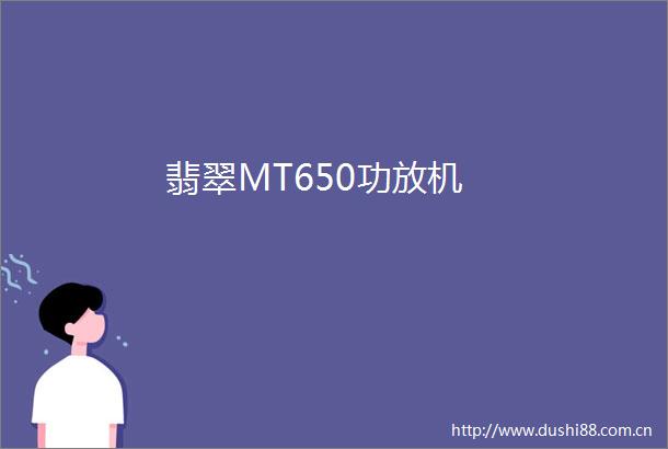 翡翠MT650功放机