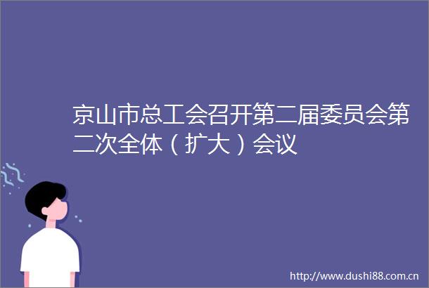 京山市总工会召开第二届委员会第二次全体（扩大）会议