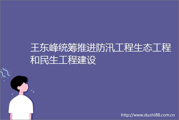 王东峰统筹推进防汛工程生态工程和民生工程建设