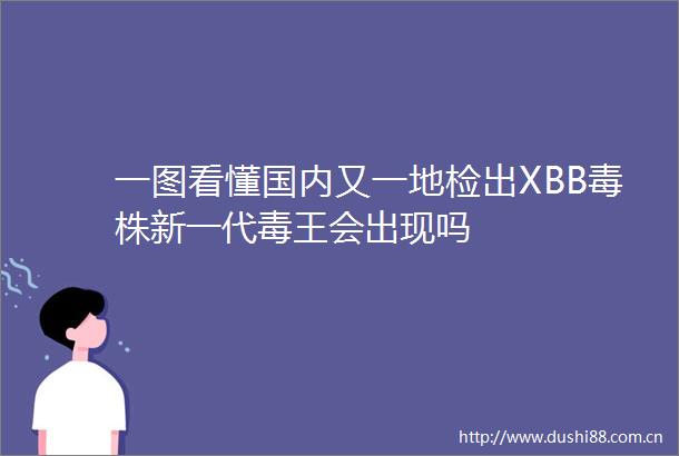 一图看懂国内又一地检出XBB毒株新一代毒王会出现吗