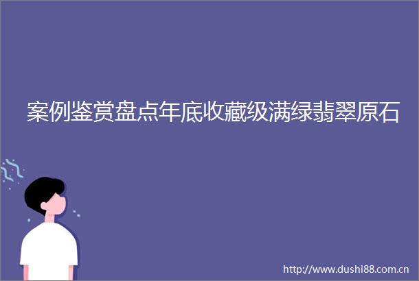 案例鉴赏盘点年底收藏级满绿翡翠原石