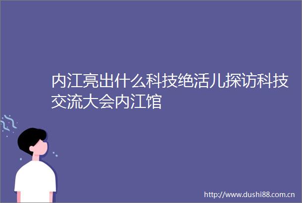 内江亮出什么科技绝活儿探访科技交流大会内江馆