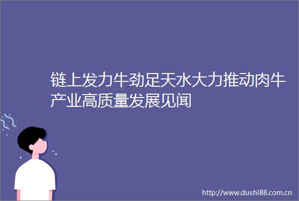 链上发力牛劲足天水大力推动肉牛产业高质量发展见闻