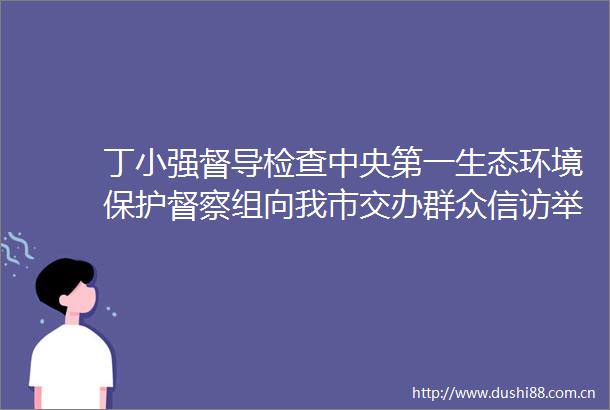 丁小强督导检查中央第一生态环境保护督察组向我市交办群众件以及省委巡视反馈相关问题整改情况