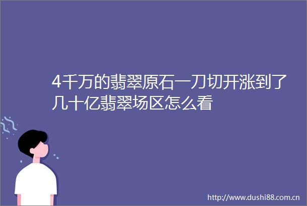 4千万的翡翠原石一刀切开涨到了几十亿翡翠场区怎么看