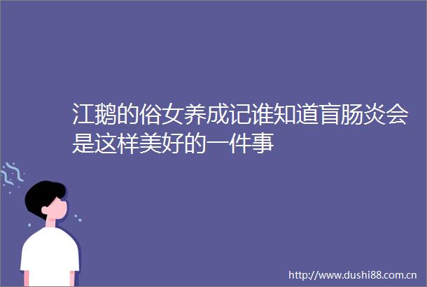 江鹅的俗女养成记谁知道盲肠炎会是这样美好的一件事