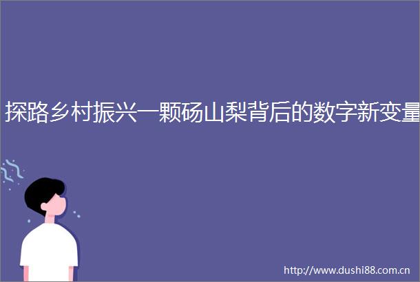 探路乡村振兴一颗砀山梨背后的数字新变量