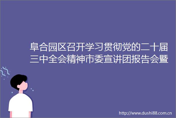 阜合园区召开学习贯彻党的二十届三中全会精神市委宣讲团报告会暨园区理论学习中心组扩大会议