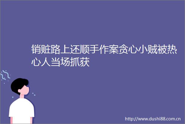 销赃路上还顺手作案贪心小贼被热心人当场抓获