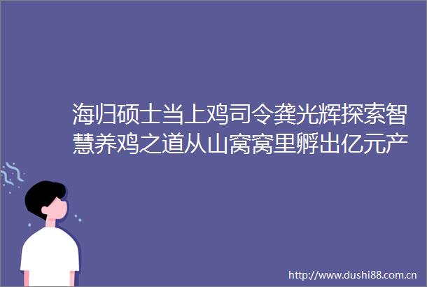 海归硕士当上鸡司令龚光辉探索智慧养鸡之道从山窝窝里孵出亿元产值