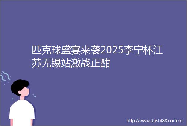 匹克球盛宴来袭2025李宁杯江苏无锡站激战正酣