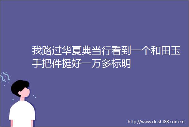 我路过华夏典当行看到一个和田玉手把件挺好一万多标明