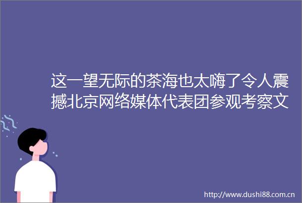 这一望无际的茶海也太嗨了令人震撼北京网络媒体代表团参观考察文新茶村发出啧啧赞叹