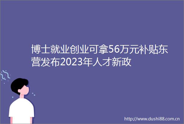 博士就业创业可拿56万元补贴东营发布2023年人才新政