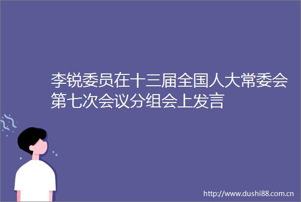 李锐委员在十三届全国人大常委会第七次会议分组会上发言