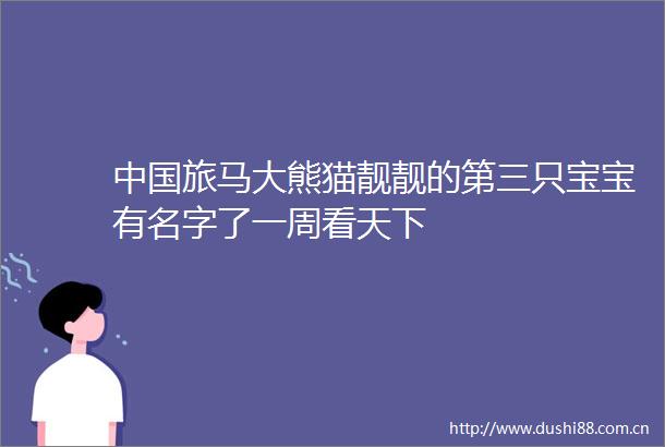 旅马大熊猫靓靓的第三只宝宝有名字了一周看天下