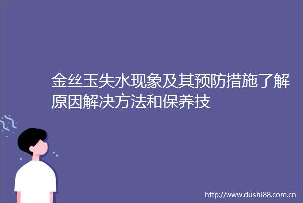 金丝玉失水现象及其预防措施了解原因解决方法和保养技
