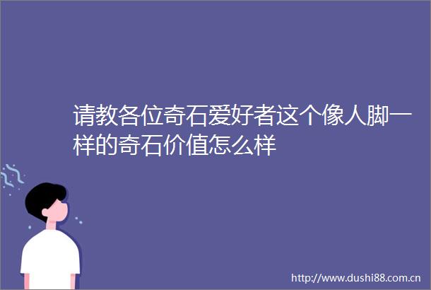 请教各位奇石爱好者这个像人脚一样的奇石价值怎么样