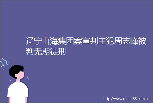 辽宁山海集团案宣判主犯周志峰被判无期徒刑
