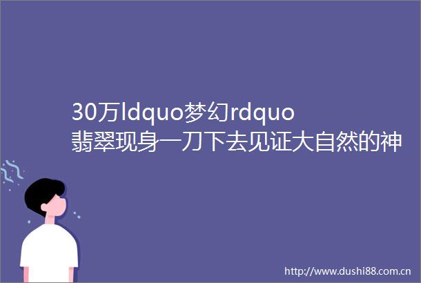 30万ldquo梦幻rdquo翡翠现身一刀下去见证大自然的神奇
