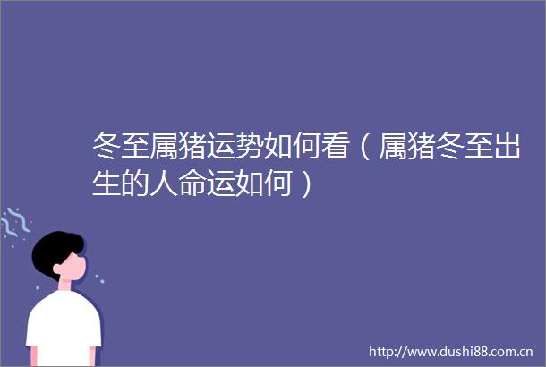 冬至属猪运势如何看（属猪冬至出生的运如何）