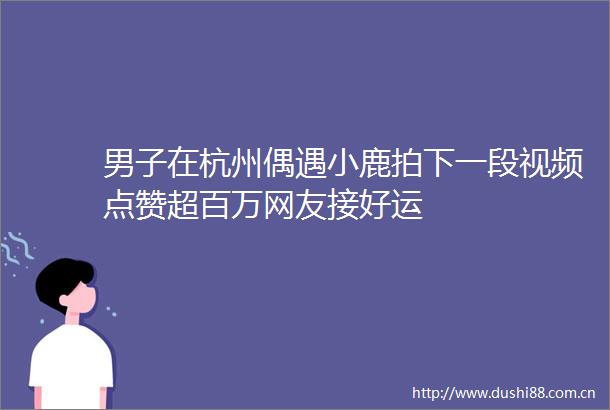 男子在杭州偶遇小鹿拍下一段视频点赞超百万网友接好运