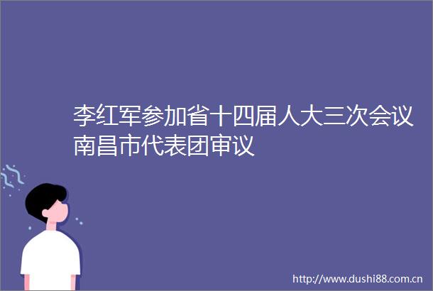 李红军参加省十四届人大三次会议南昌市代表团审议