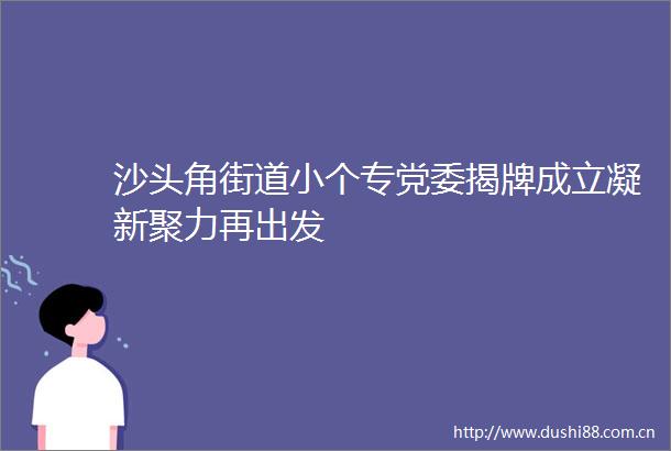 沙头角街道小个专党委揭牌成立凝新聚力再出发