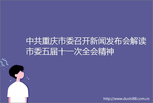 重庆市委召开新闻发布会解读市委五届十一次全会精神