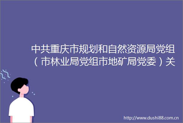 重庆市规划和自然资源局党组（市林业局党组市地矿局党委）关于六届市委第四轮巡视整改进展情况的通报