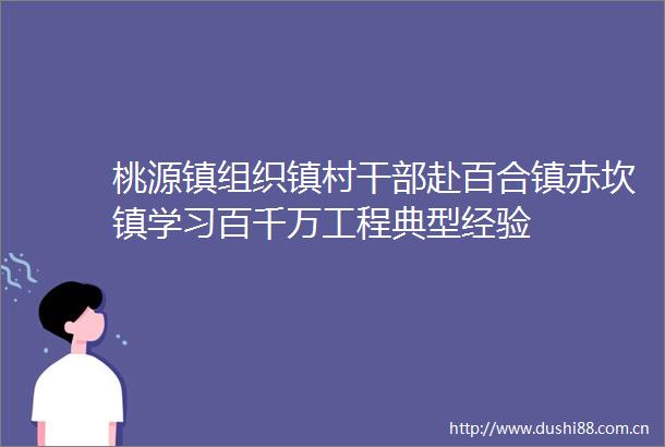 桃源镇组织镇村赴百合镇赤坎镇学习百千万工程典型经验