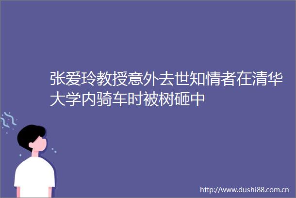 张爱玲教授意外去世知情者在清华大学内骑车时被树砸中