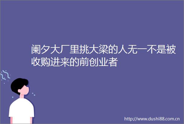 阑夕大厂里挑大梁的人无一不是被收购进来的前创业者