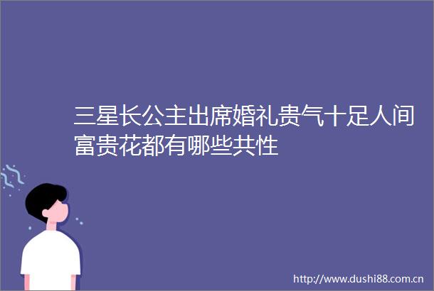 三星长公主出席婚礼贵气十足人间富贵花都有哪些共性