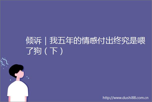 倾诉｜我五年的情感付出终究是喂了狗（下）