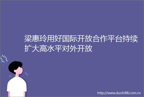 梁惠玲用好国际开放合作平台持续扩大高水平对外开放